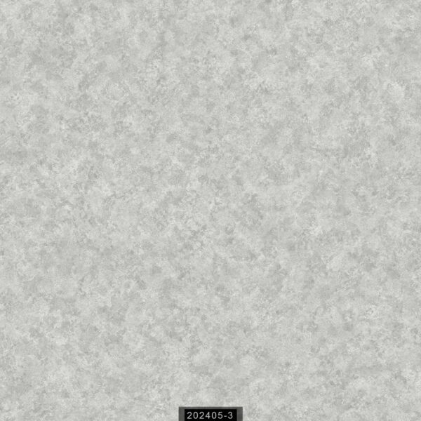 RAVENA RİSİNG 202405-3