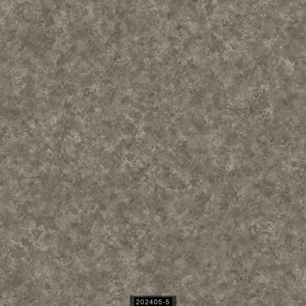 RAVENA RİSİNG 202405-5