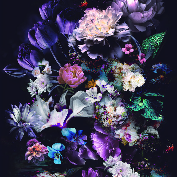 3D Duvar Kağıdı Renkli Çiçekler