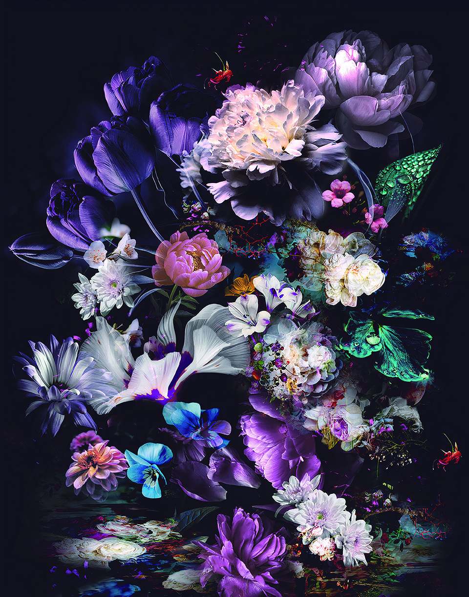 3D Duvar Kağıdı Renkli Çiçekler 3D Duvar Kağıdı Renkli Çiçekler