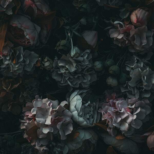 3D Duvar Kağıdı Koyu Çiçek Desenli