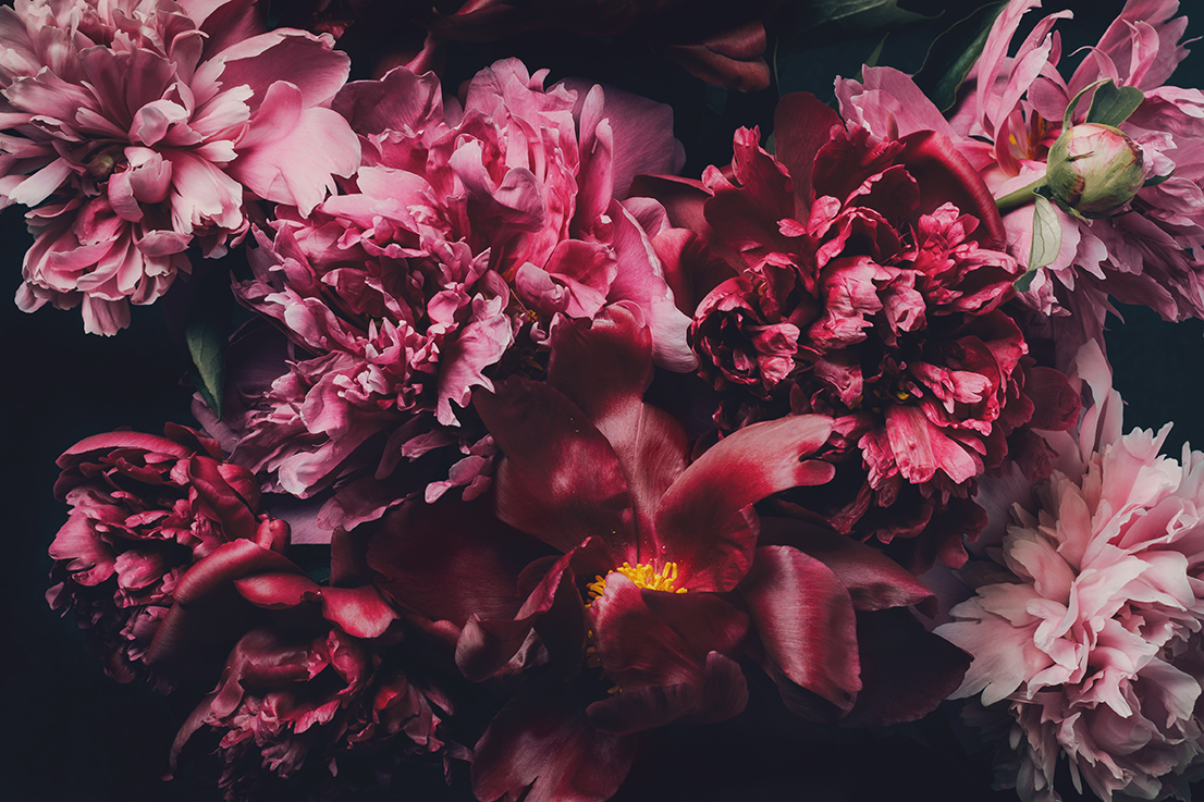 3D Duvar Kağıdı Pembe Çiçekler 3D Duvar Kağıdı Pembe Çiçekler