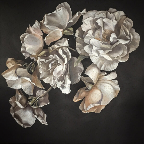 3D Duvar Kağıdı Beyaz Gül Desenli