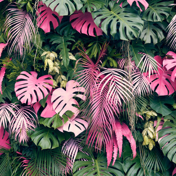 tüy desenli 3d duvar kağıdı