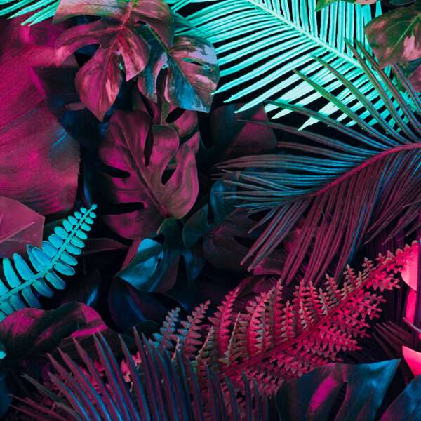 tüy desenli 3d duvar kağıdı