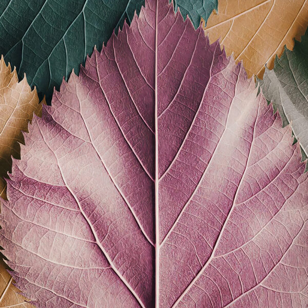 dokulu yaprak desenli duvar kağıdı