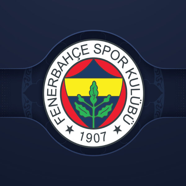 3D Duvar Kağıdı Fenerbahçe Logolu