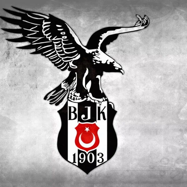 3D Duvar Kağıdı Beşiktaş Kartal Logolu