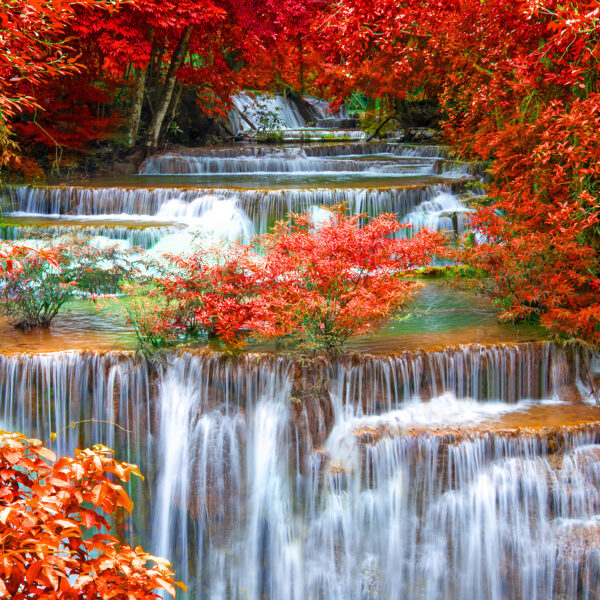 3D Duvar Kağıdı Çiçekli Şelale Manzara