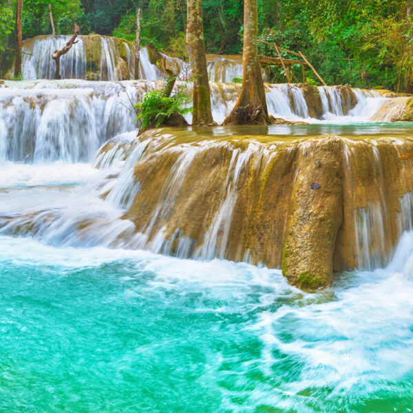 3D Duvar Kağıdı Tropikal Şelale