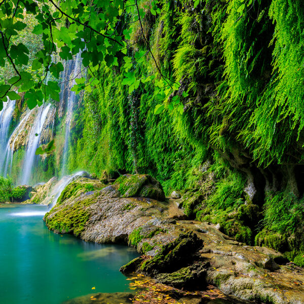 3D Duvar Kağıdı Orman ve Şelale Desenli