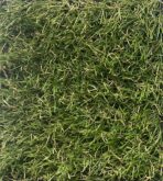 20mm Çim Halı Sarıotlu 1650 gr