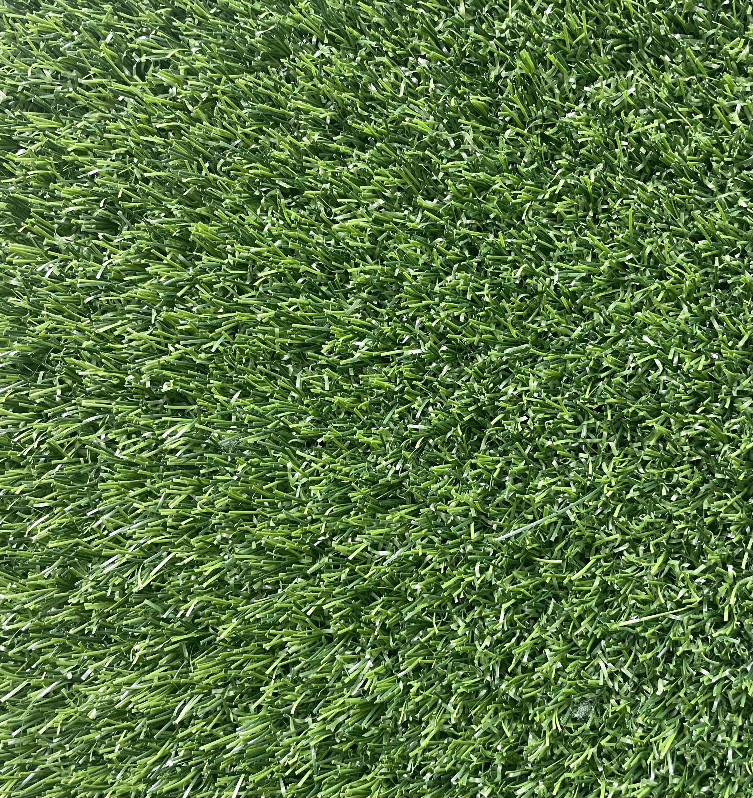 25-mm-Cimhali--resim-1628.jpeg-2719x2879